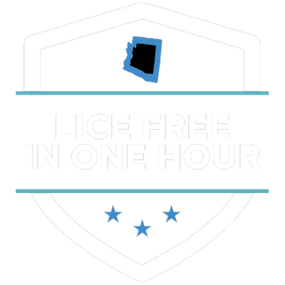 Lice Free in One Hour.png