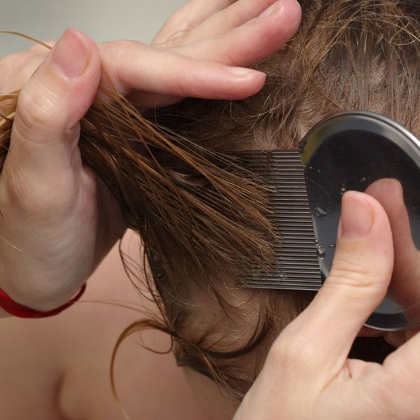 using a lice comb