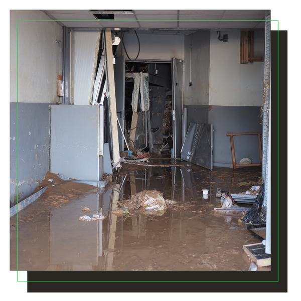 2 Hurricane Clean-Up.png