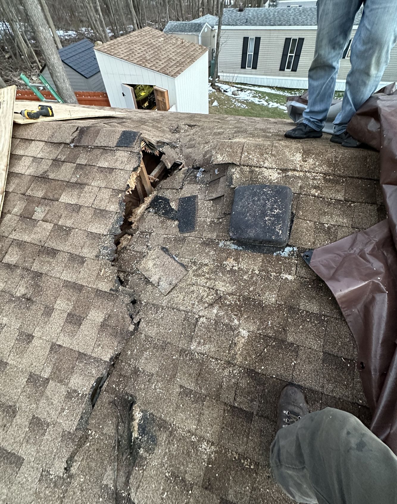 Photo Jan 18 2023, 4 38 30 PM.jpg