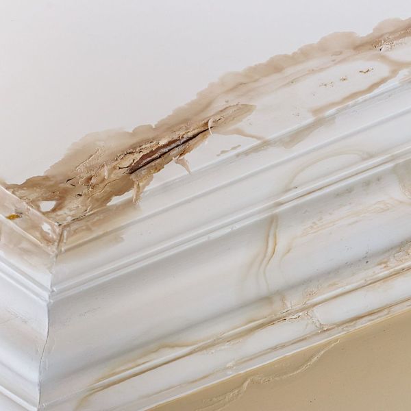 Water damage on an interior ceiling, showing a prominent brown stain and peeling paint along the molding. Water damage on an interior ceiling, showing a prominent brown stain and peeling paint along the molding.