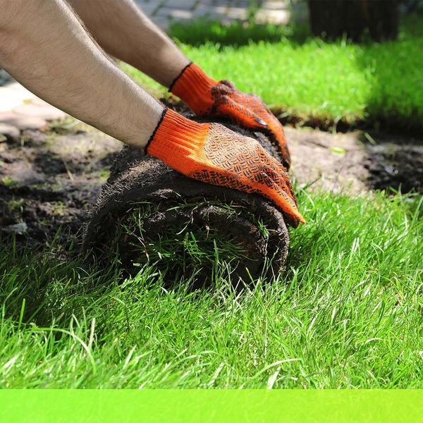 Sod Installation