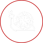 snail, stopwatch icon