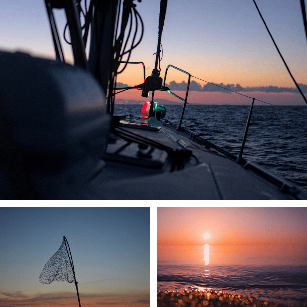 Lake Erie Walleye (update) - Image 4.png