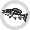 walleye icon