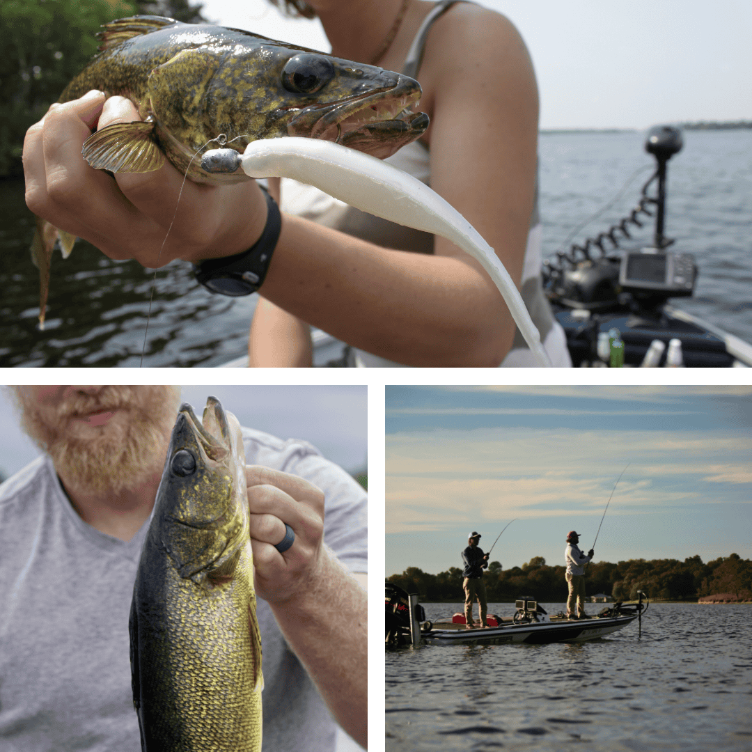 Lake Erie Walleye (update) - Image 1a.png