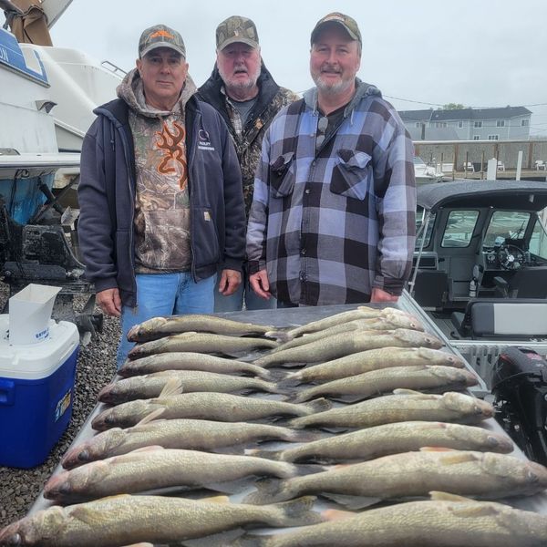 walleyes lined up on table