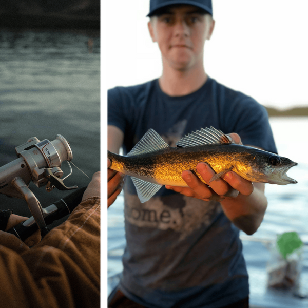 Lake Erie Walleye (update) - Image 3.png