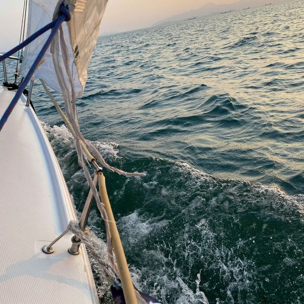 Lake Erie Walleye (update) - Additional Gallery Image 1.jpg