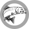 salmon icon
