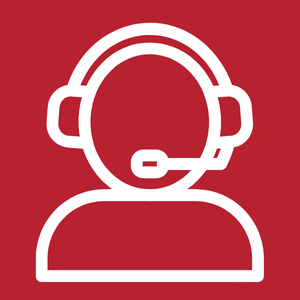 customer support agent 