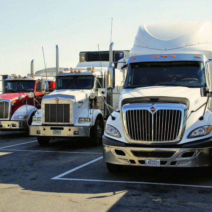 A row of parked semi trucks