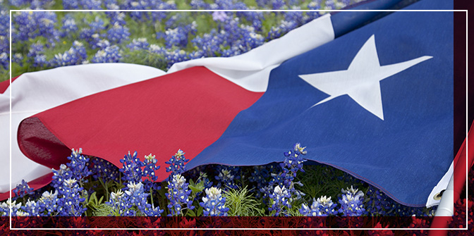 Texas flag