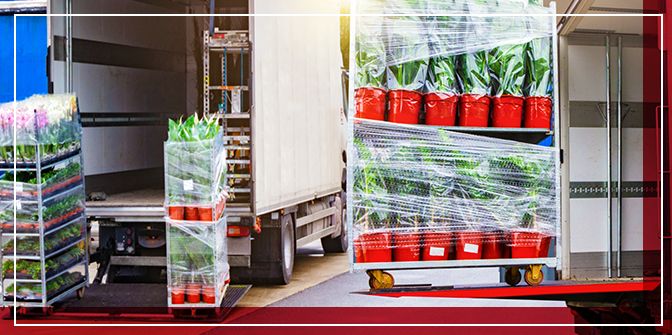 plants being unloaded from a truck