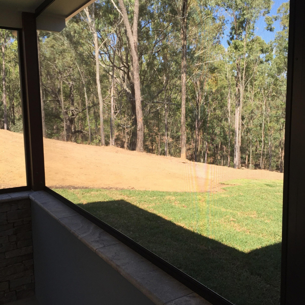 Looking through a screen window