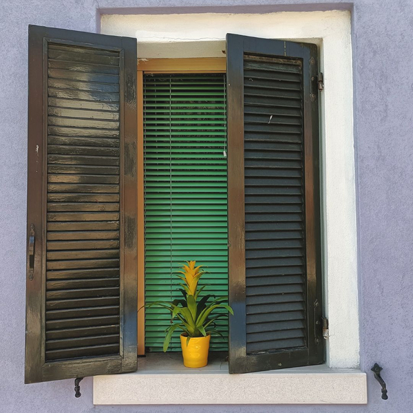 How to Clean and Maintain Your Colonial Shutters 4.jpg