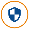 icon of a shield
