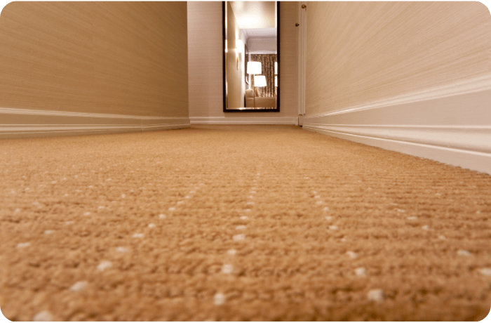 close up of hotel room carpeting