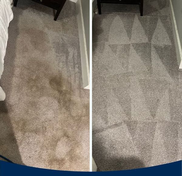 before and after carpet cleaning