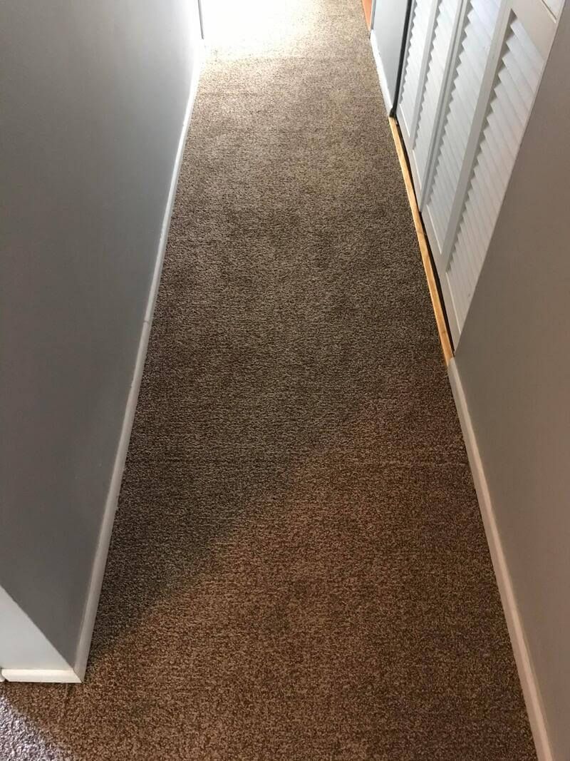 very-clean-carpet_orig.jpg