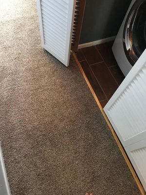 clean residential carpet