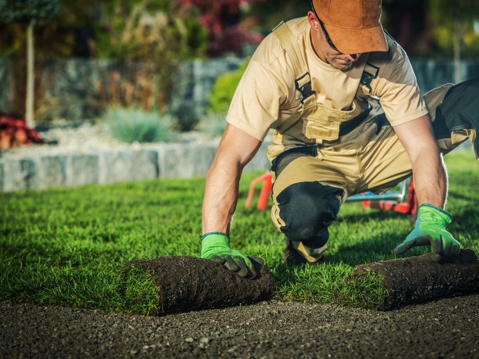 New Braunfels Landscaping 