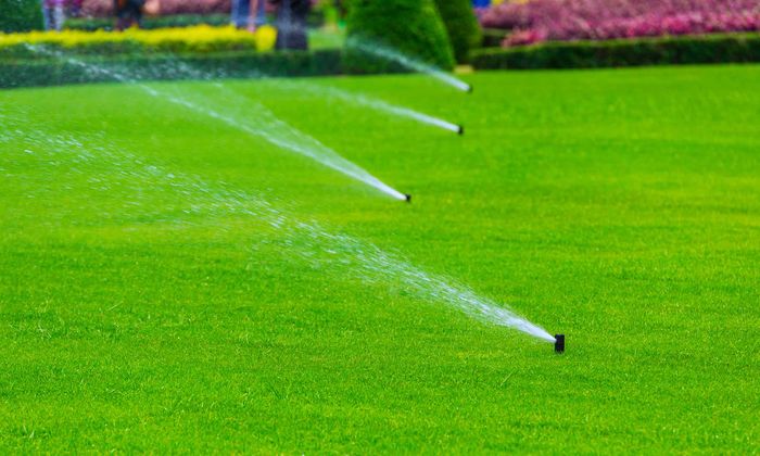 Why Hire BEGRED Landscaping For Your Lawn Irrigation Needs.jpg