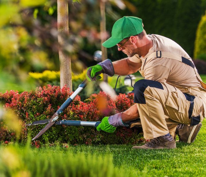 man trimming plants