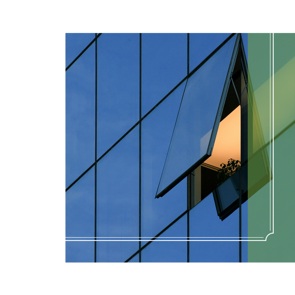 5050 IMG 3.png
