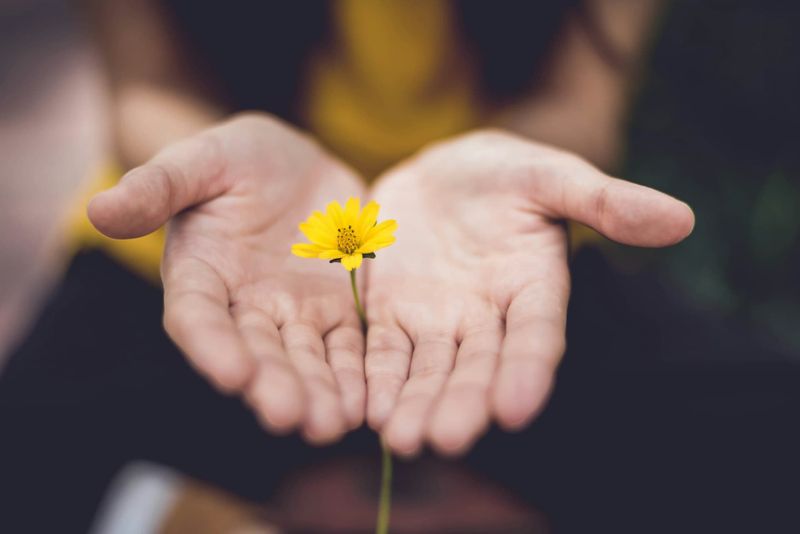 flower in hand