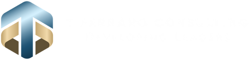 T Ferraro Consulting
