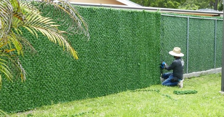 PHOTO-2024-07-29-20-48-44 (3).jpg