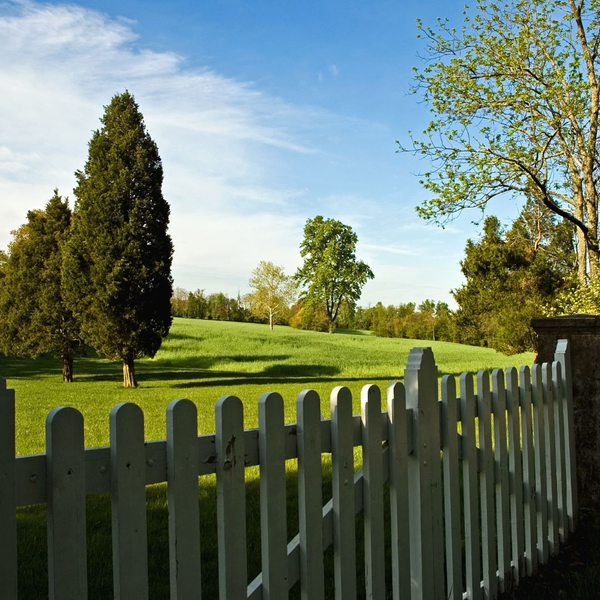 fence with gate