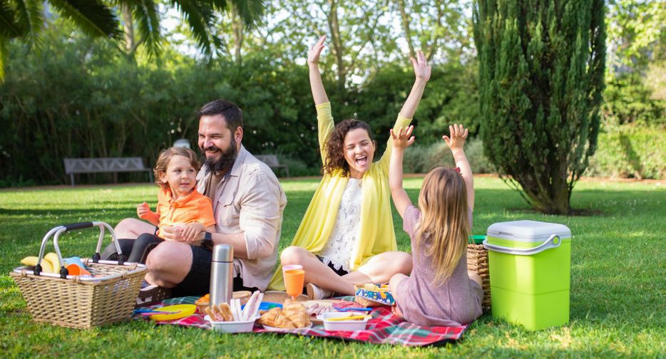 happy family at a picnic