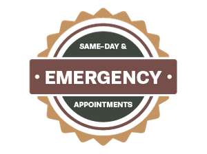 Same-day and emergency appointments