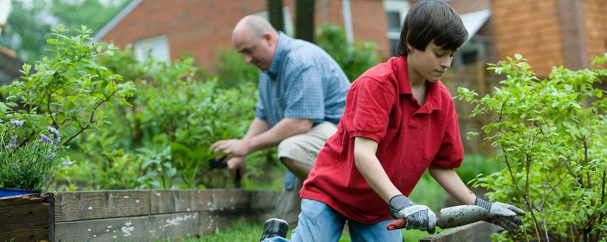 Man and son working on garden outside