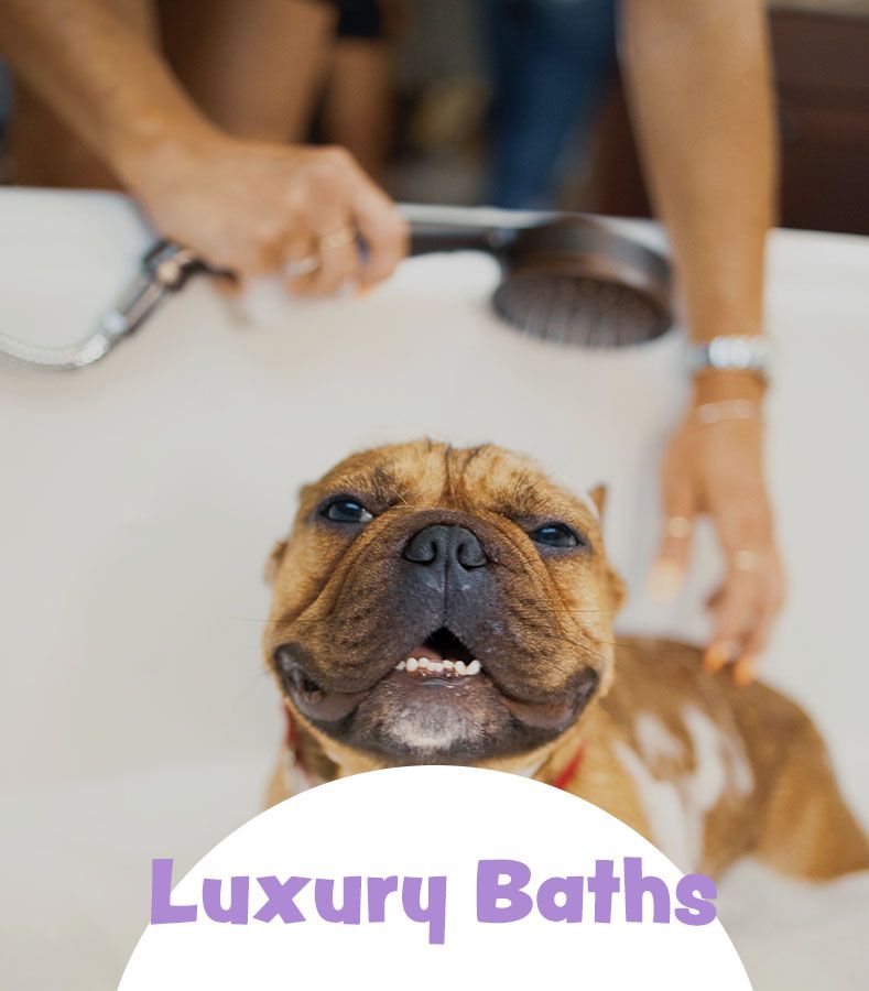 luxury baths.jpg
