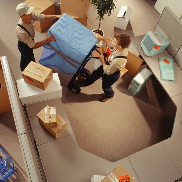 movers packing an office
