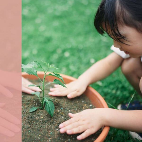 child planting plant in pot