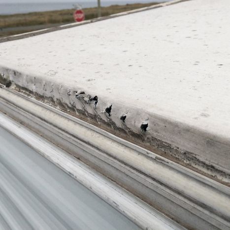 image of a tree damaged RV roof