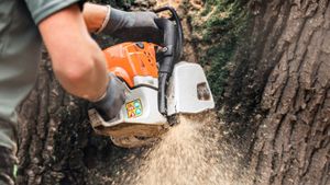 treepros8.jpg