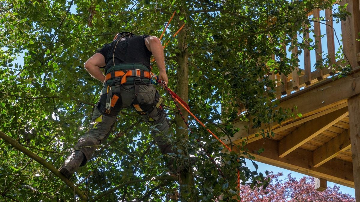 treepros9.jpg