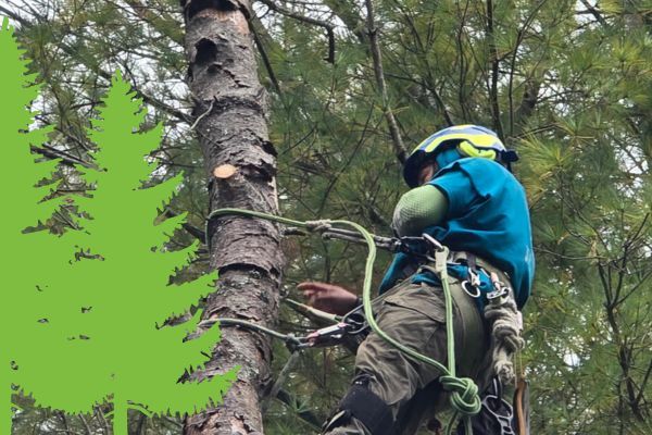 About Us - Image 2.jpg