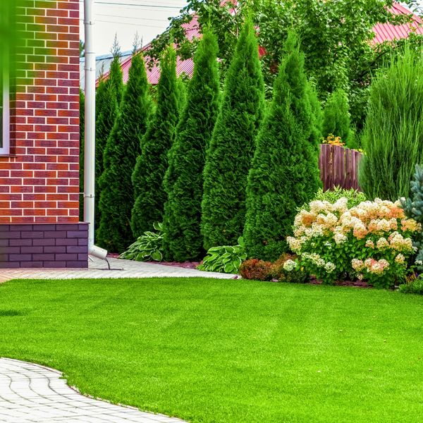 Why Winter is the Best Time for Tree Work 4.jpg