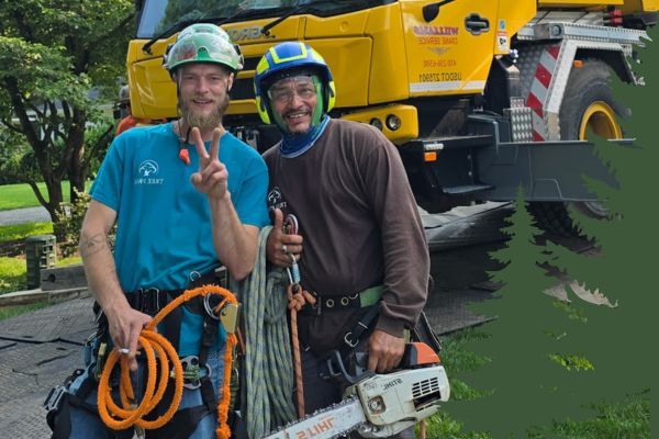 About Us - Image 5.jpg