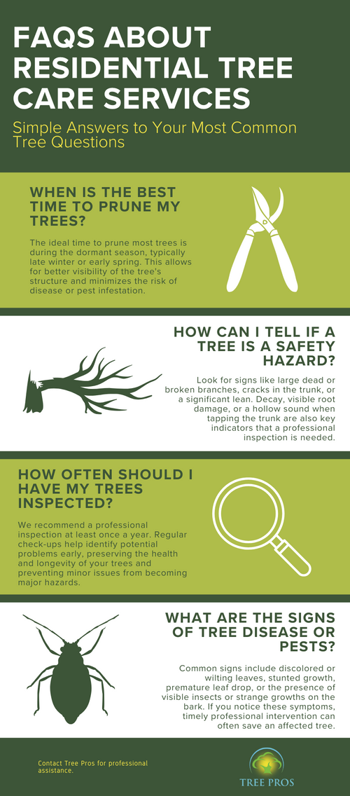 M315996 - Infographic - FAQs About Residential Tree Care Services.png