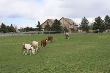 frontpasture2.jpg