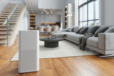 gallery_dehumidifier_4_1748632155.jpg