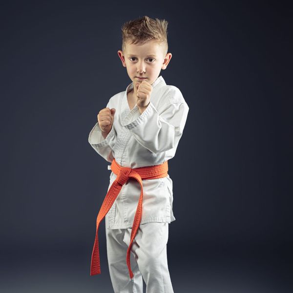 boy doing martial arts pose 