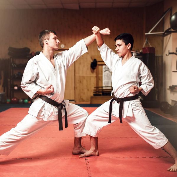 Martial arts training 